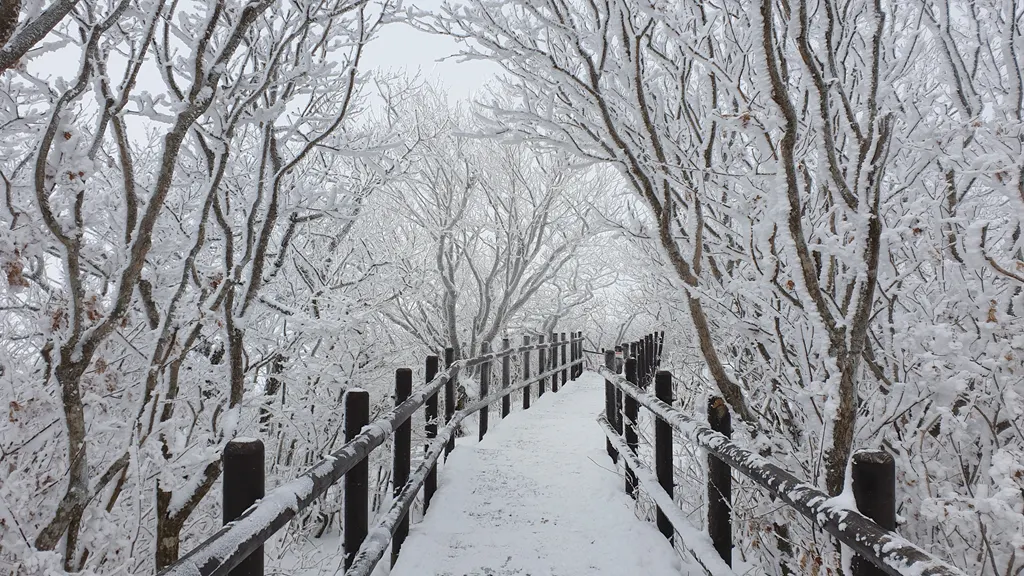 덕유산 설천봉 상고대