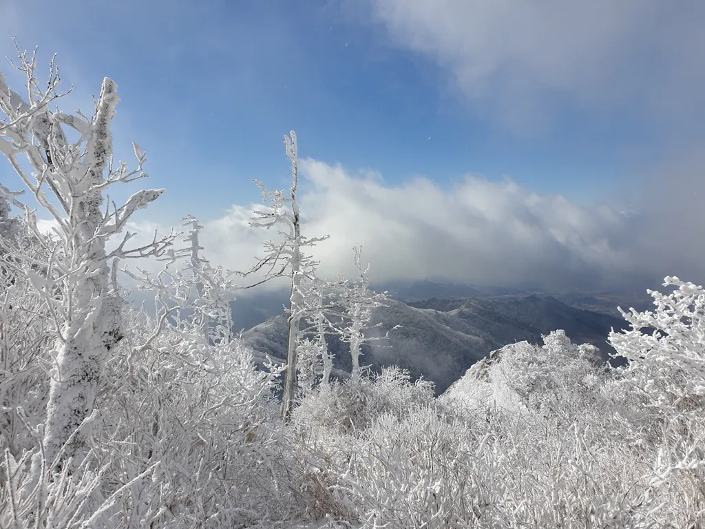 점점 파란하늘이 드러나고 햇살이 내리쬐는 시간이 많아진다.