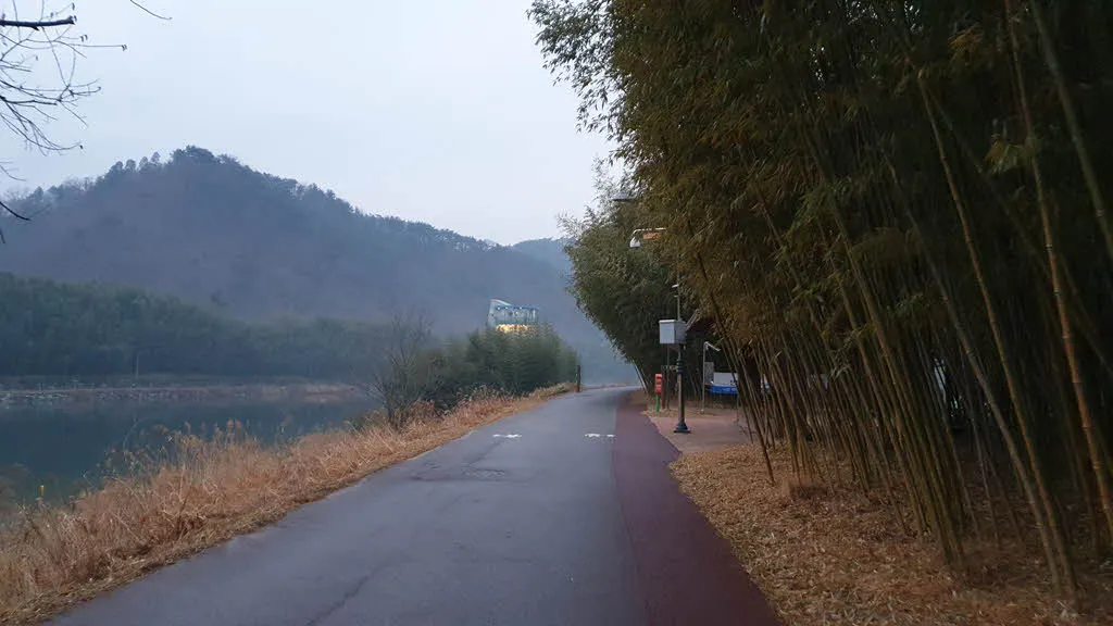 십리대숲길 태화강변로