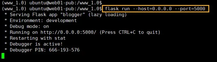 Flask 웹 애플리케이션 실행