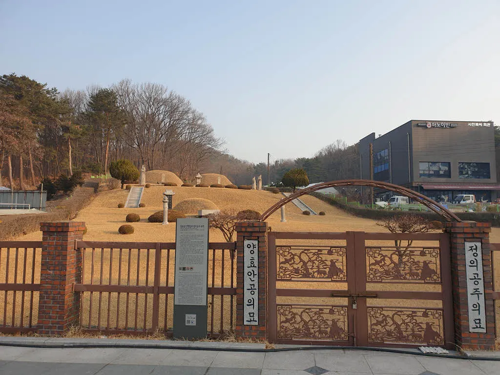 서울시 기념물로 지정된 방학동 은행나무