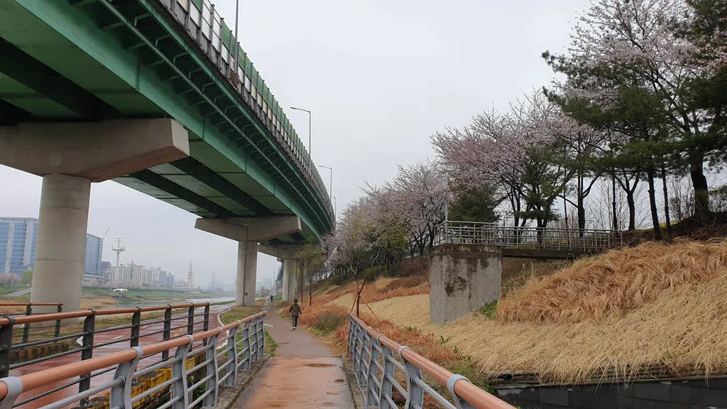 안양천 둔치의 자전거 도로와 도보길
