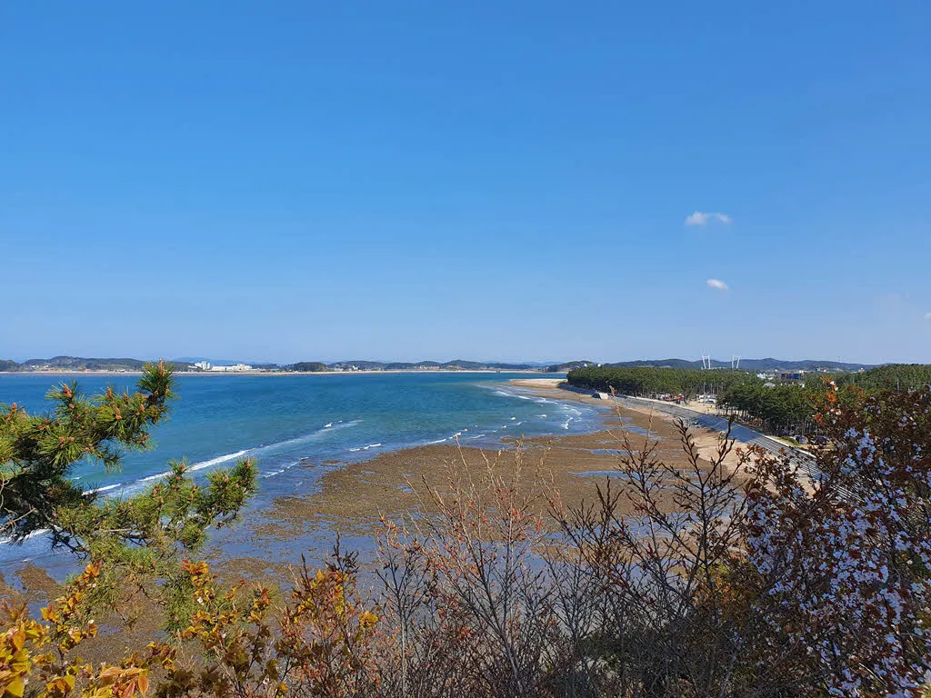 삼봉전망대에서 바라본 백사장항 방면