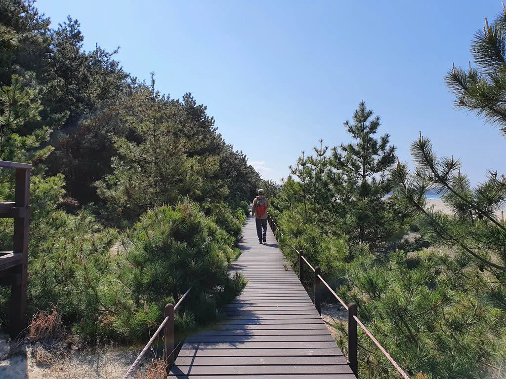 기지포해변 데크길