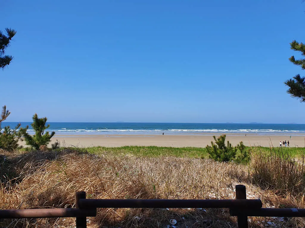 안면해변 (안면해수욕장)