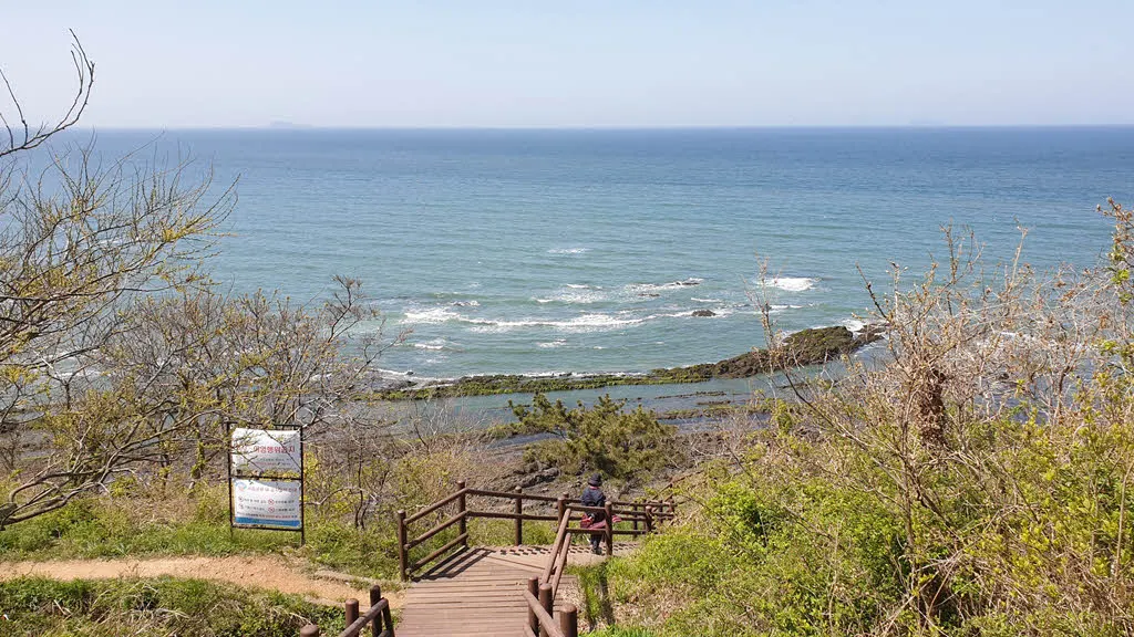 두여전망대로 가는 데크길