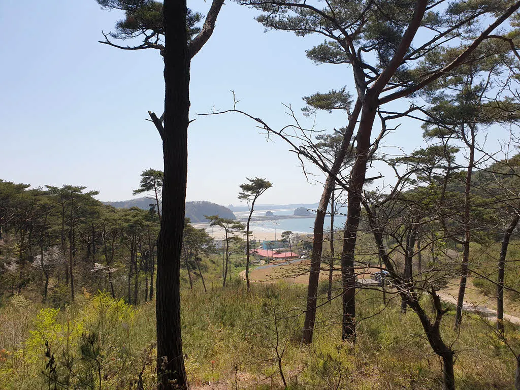 방포해변과 꽃지가 보인다