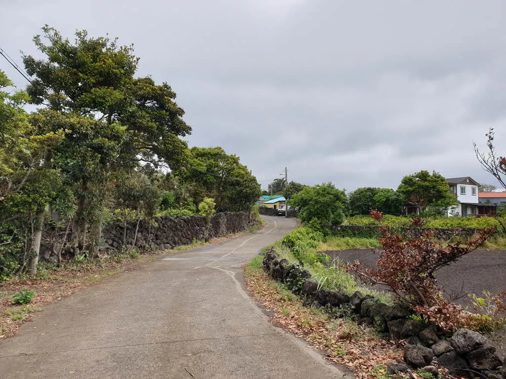 전형적인 제주 돌담길과 마을 풍경