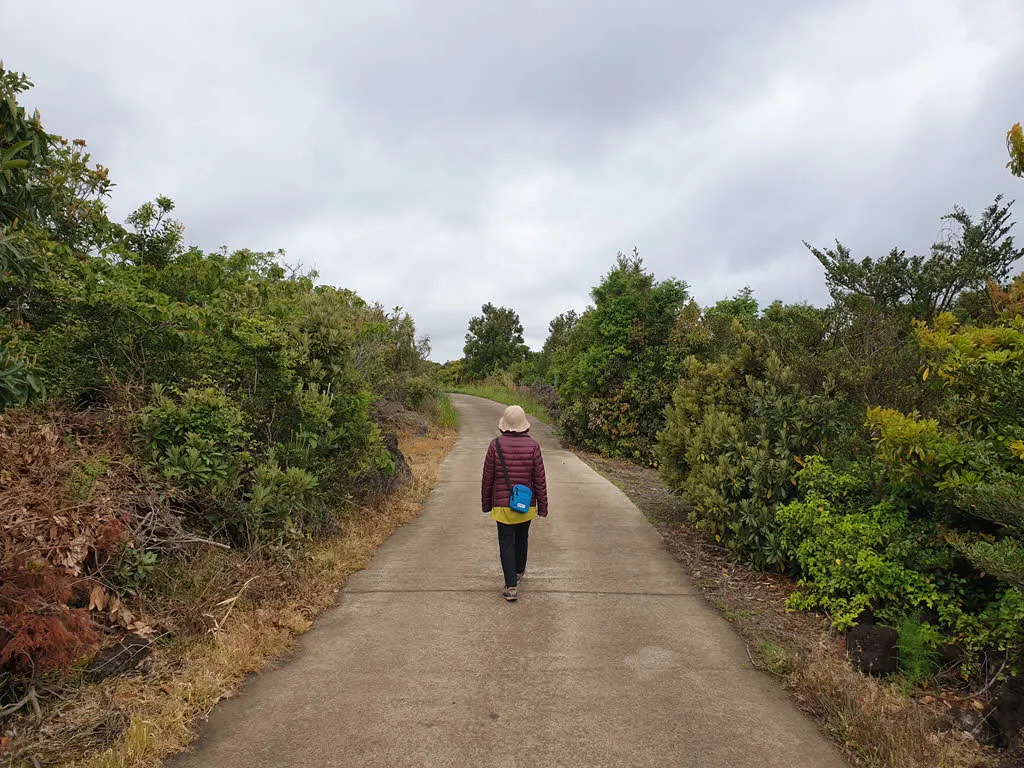 제주 중산간의 농로