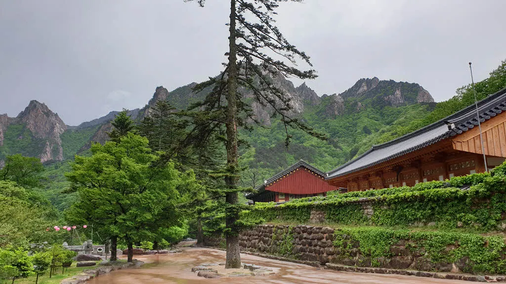 신흥사와 설악산