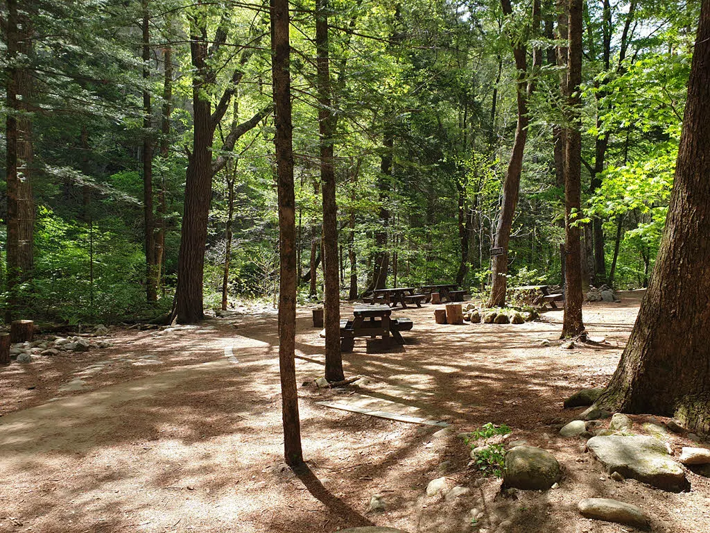 월정사 전나무 숲길의 쉼터