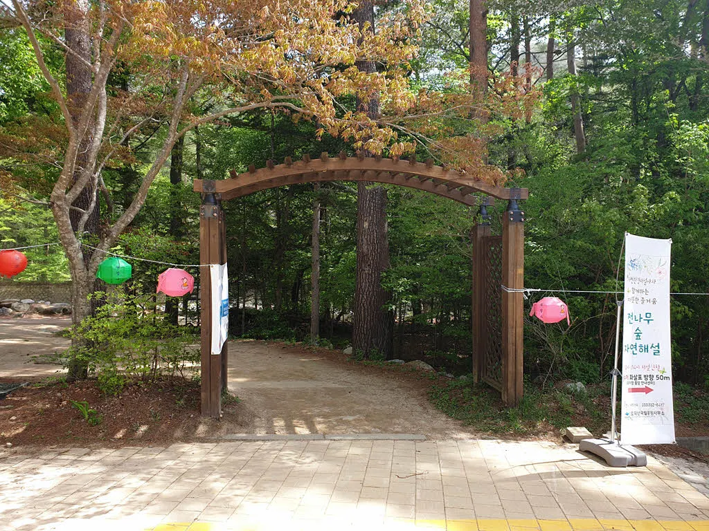 오대산 월정사 전나무숲길 입구 