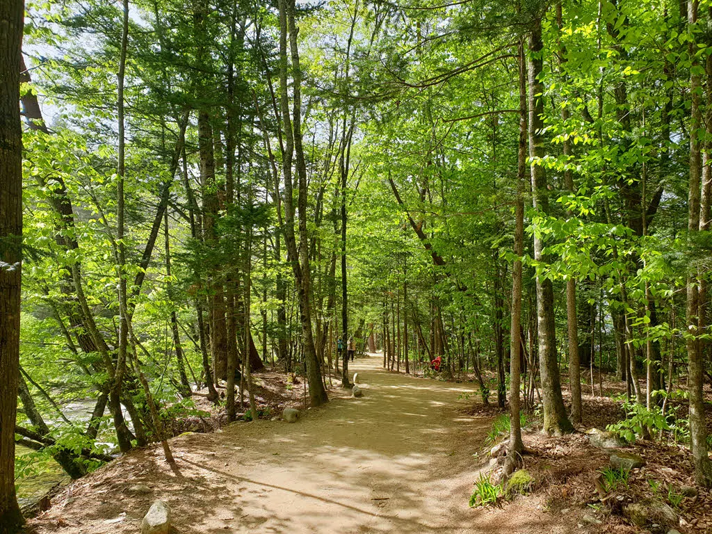 오대산 월정사 전나무숲길과 오대천