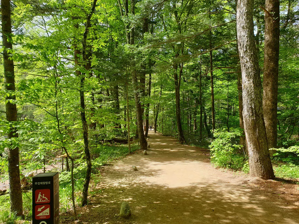 오대산 월정사 전나무숲길은 무장애길이다