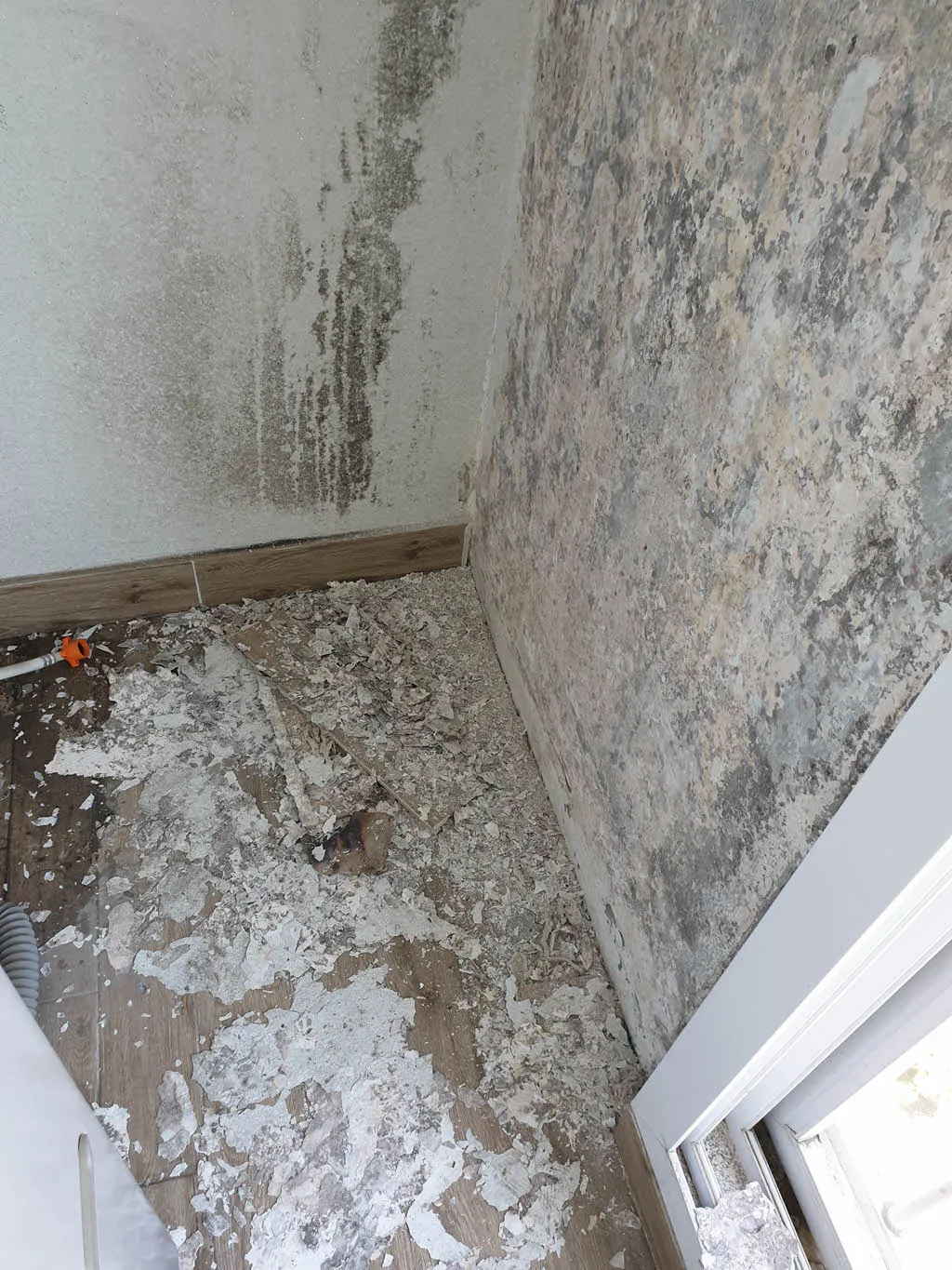 들뜬 페인트 벗겨내기