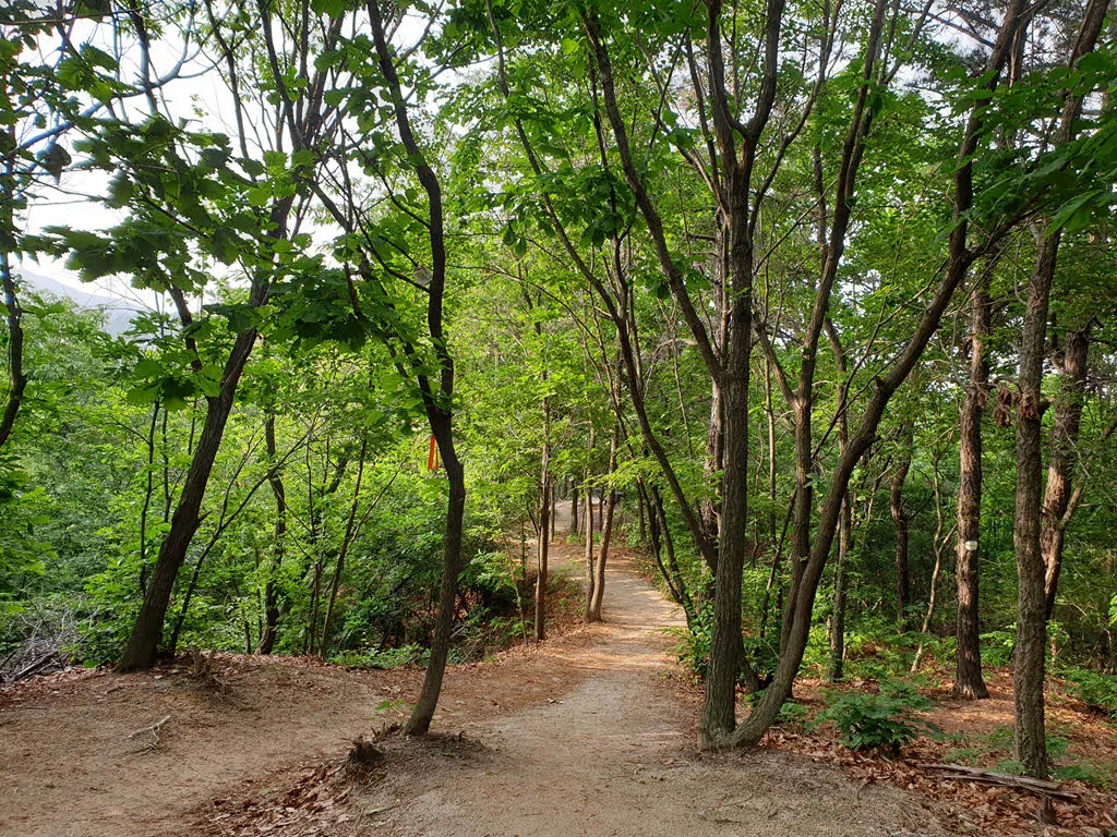 걷기좋은 수락한 구간