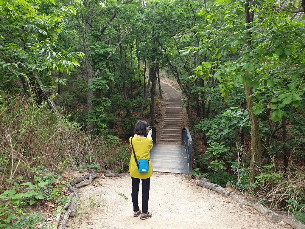 걷기에도, 보기에도 좋은 길