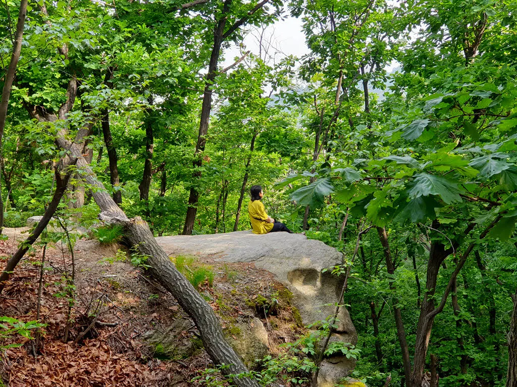 잠시 쉬어가도 좋을 숲속의 바위 평상