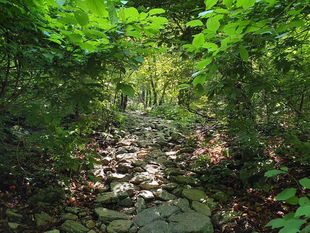 연화봉 능선의 깔딱고개로 올라가는 거친 길