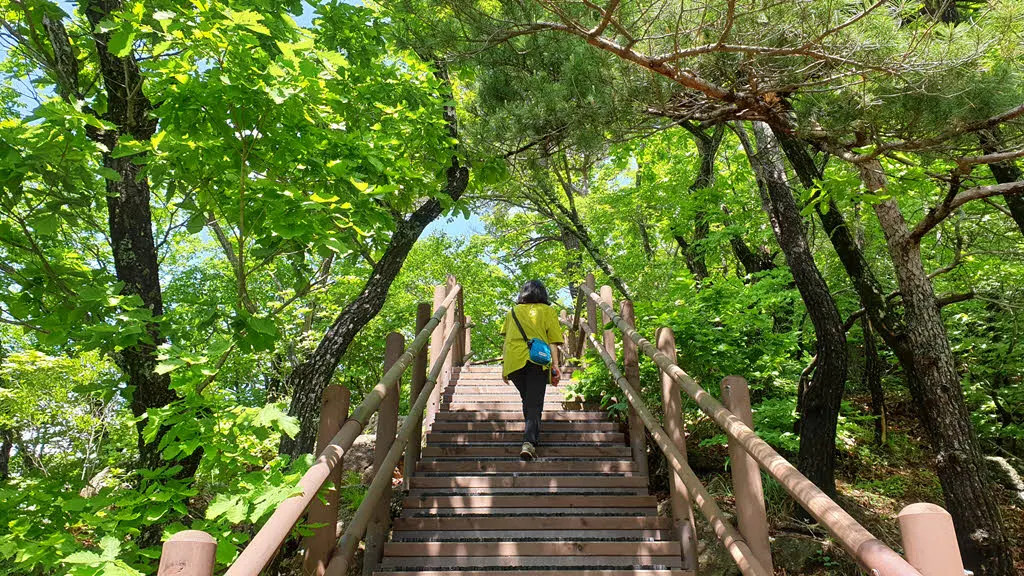 깔딱고개를 향해 묵묵히 걷자.