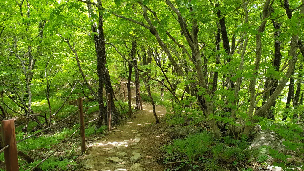 깔딱고개를 지난 뒤 나오는 걷기좋은 길