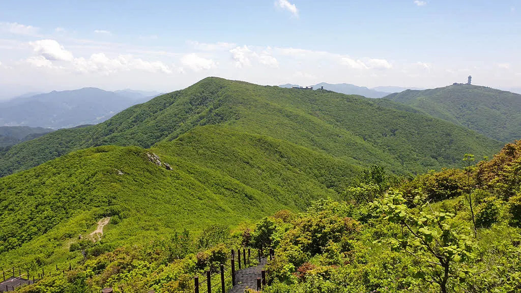 제1연화봉에서 바라본 연화봉과 소백산천문대 그리고 제2연화봉