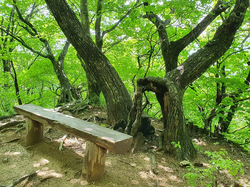 희방사 코스의 깔딱고개