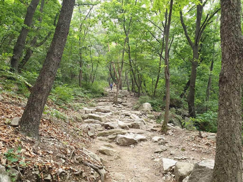 서울둘레길1코스 돌길