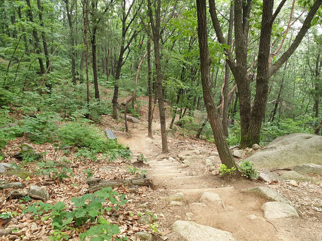 오르락 내리락 걷는 서울둘레길 1코스