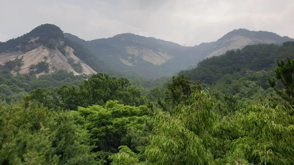 서울둘레길 1코스 전망대 (불암산 힐링타운)에서 바라본 불암산
