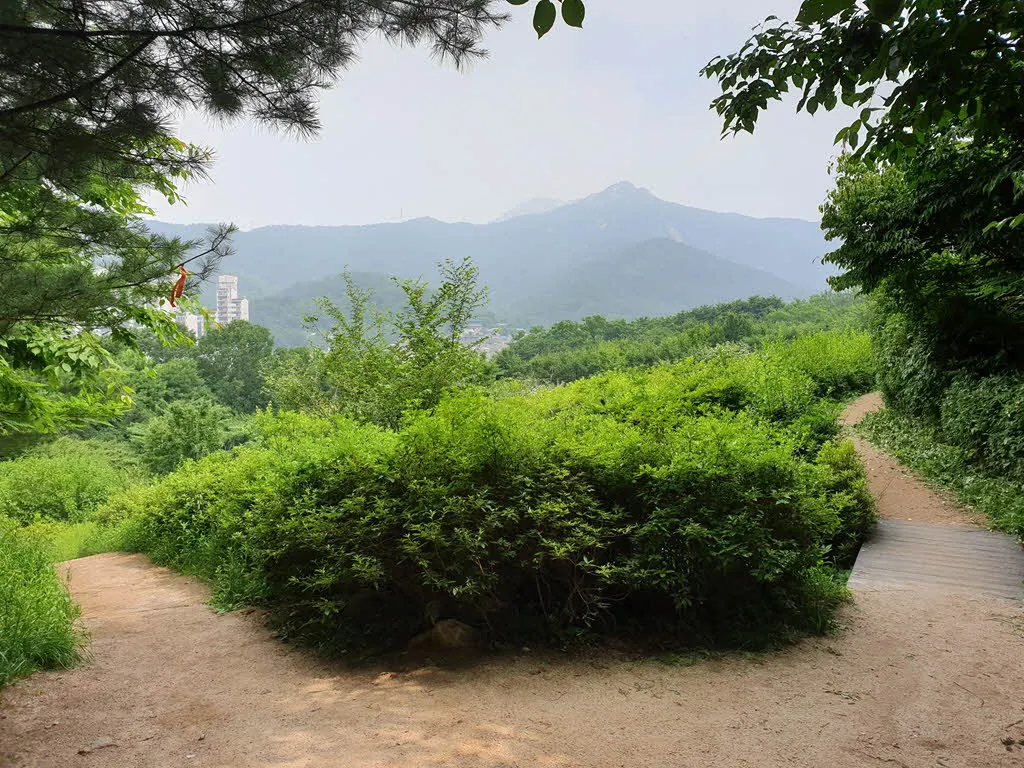 서울둘레길 1코스 철쭉동산 갈림길