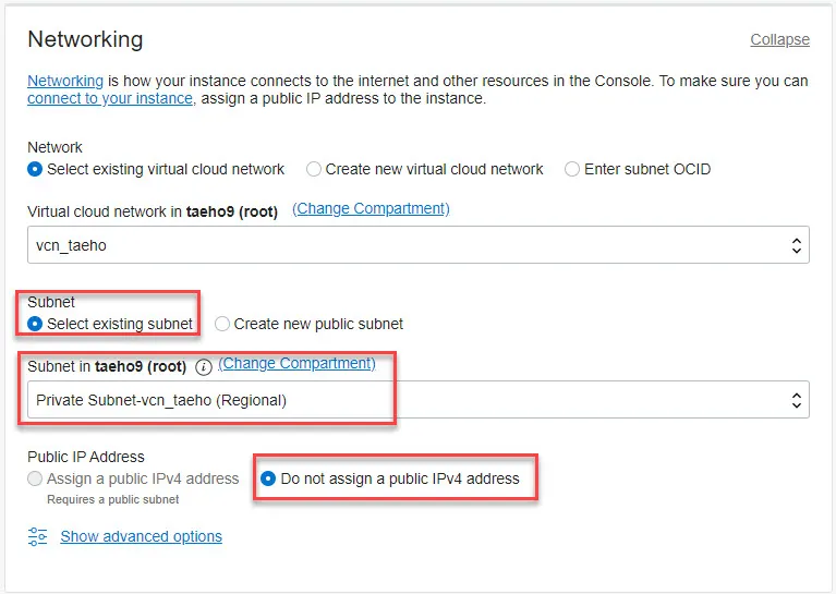Oracle Cloud의 Private Subnet을 선택, Public IP not assign
