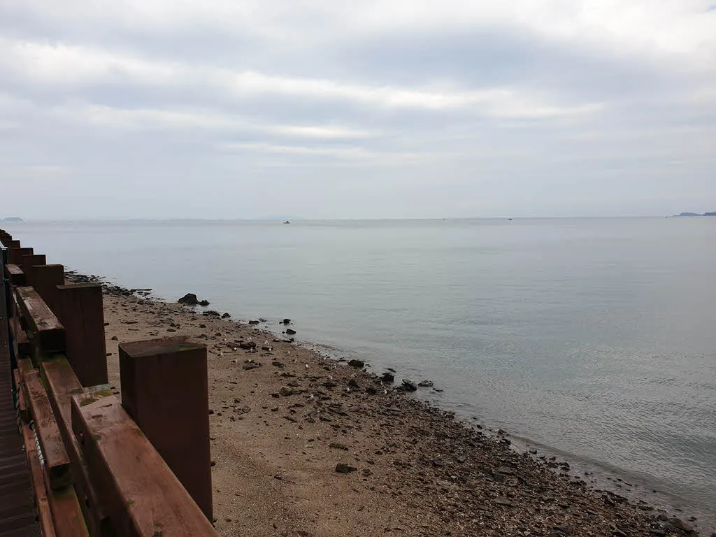 잠이 덜깬 갈매기들