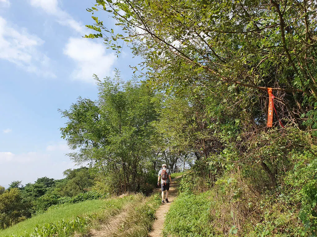 양산봉에서 다시 독산성으로