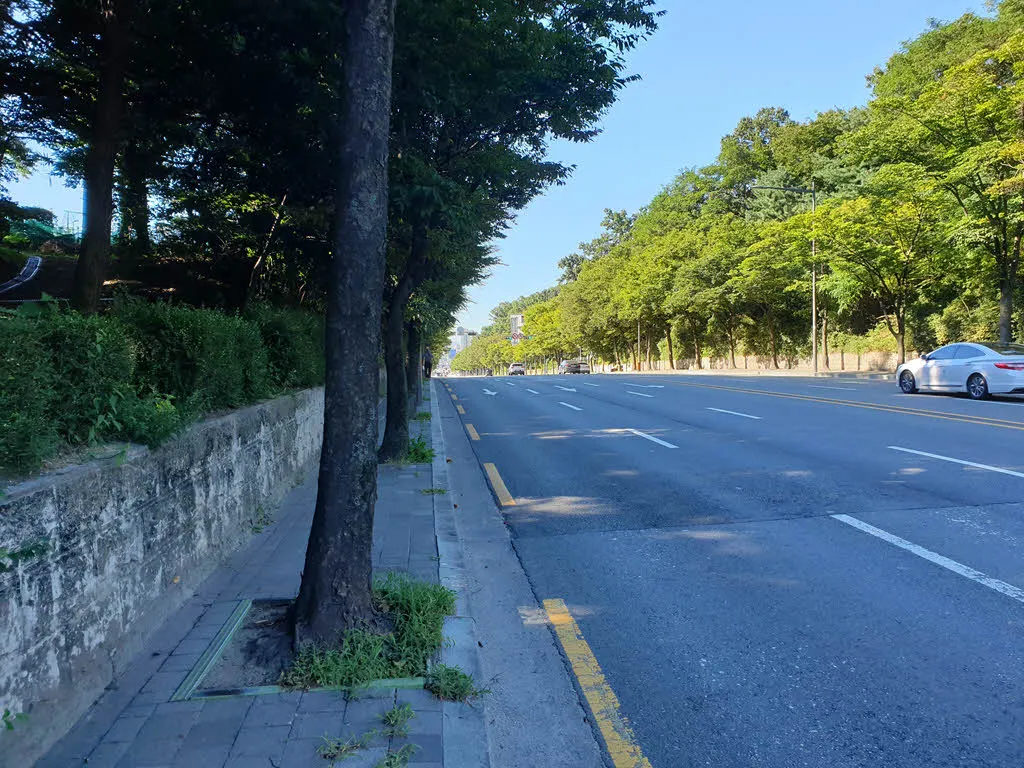 일자산 입구와 방이동 생태학습관을 이어주는 동남로