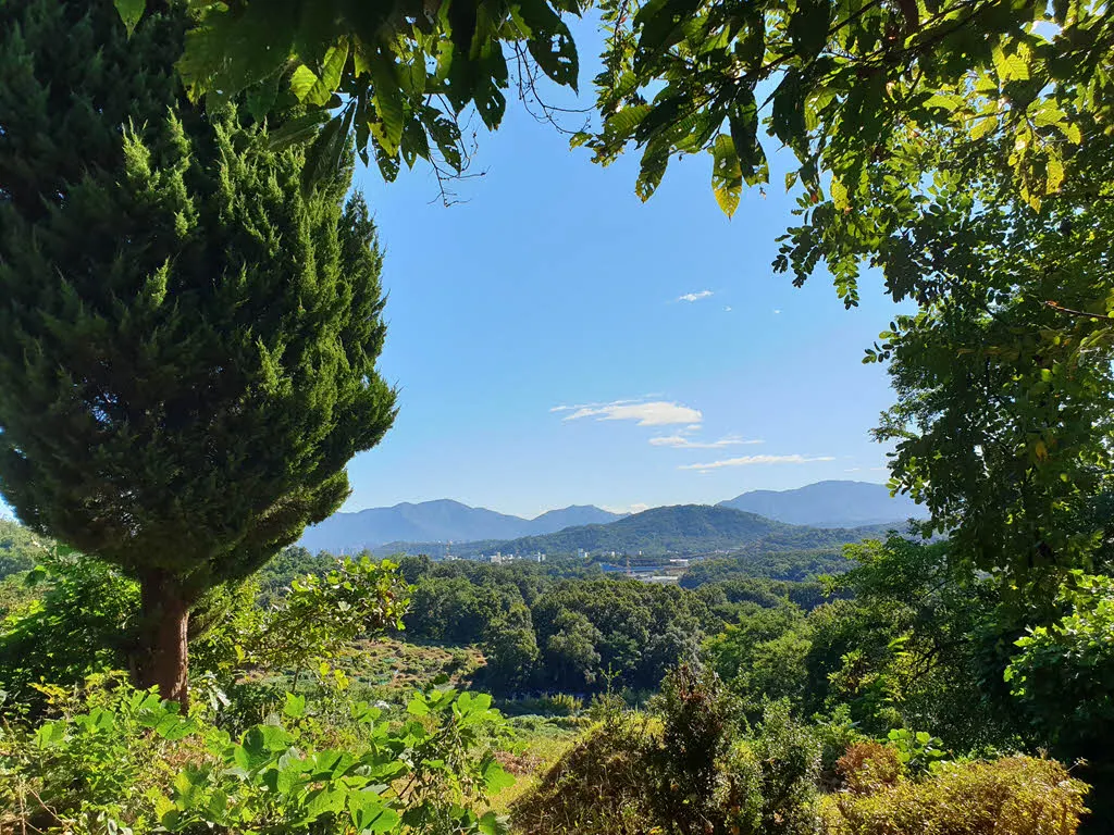 일자산에서 보이는 검단산과 용마산