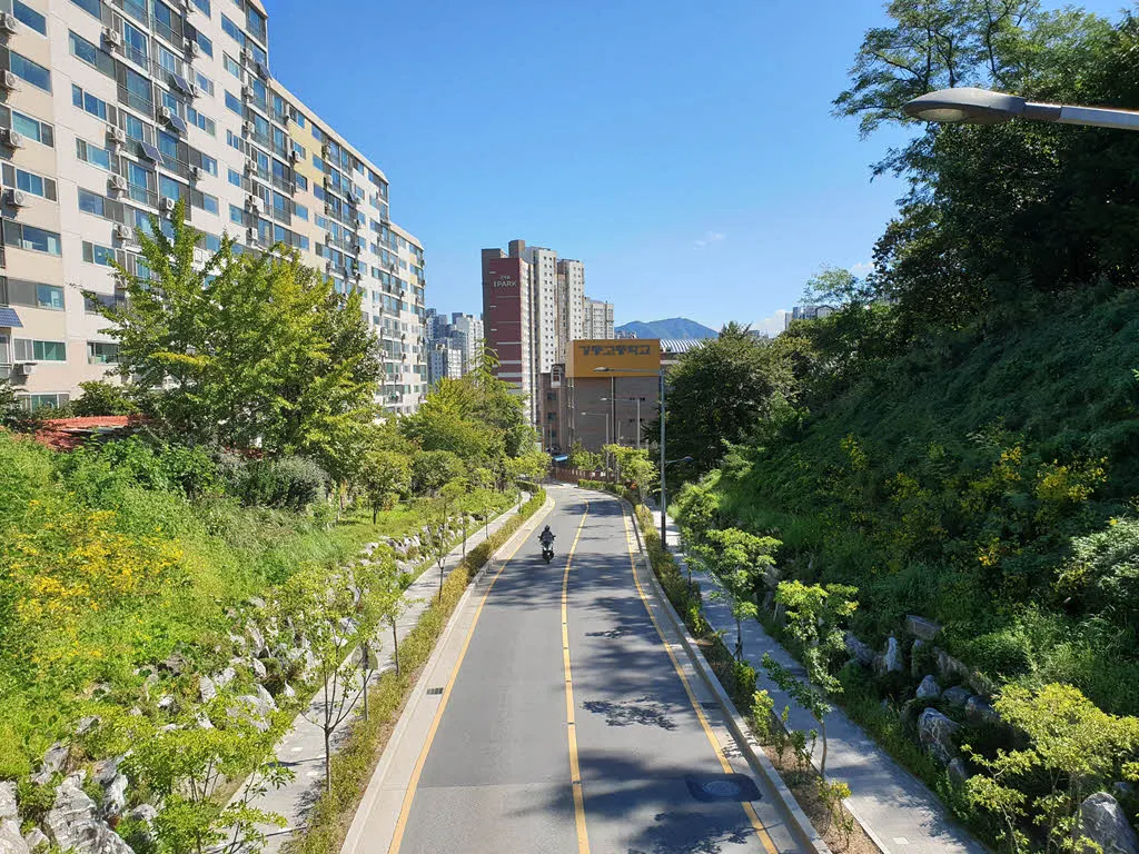 명일공원을 관통하는 구천면로