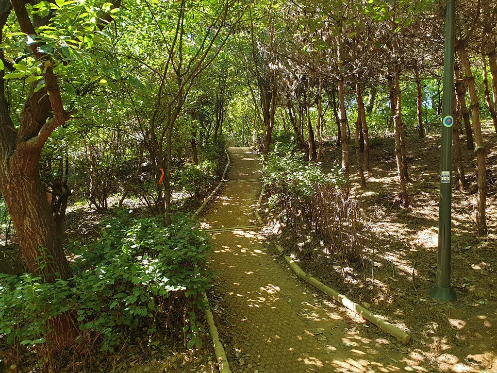 방죽공원 산책로