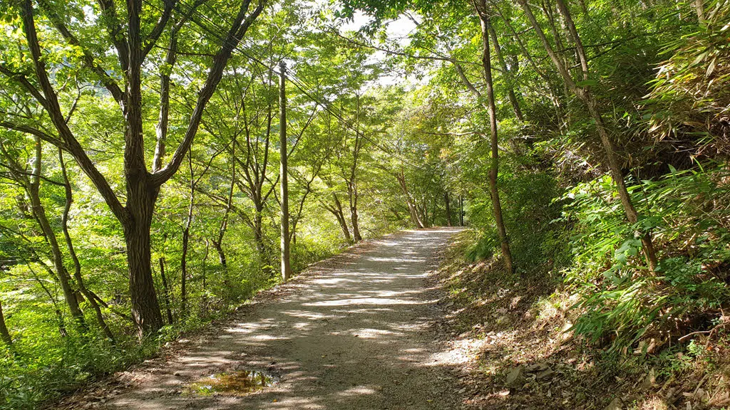 2021년 녹음의 끝자락을 향해 달리는 변산반도 국립공원 내변산