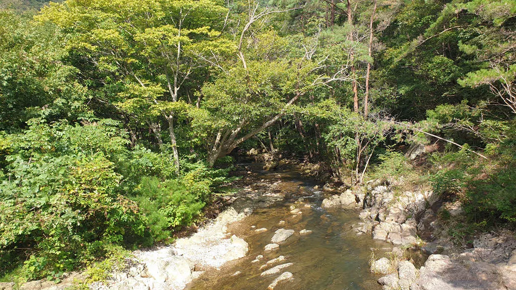 내변산 계곡의 맑은 물
