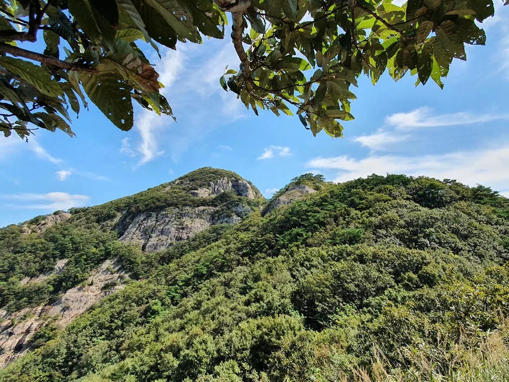 재백이 삼거리에서 오른 봉우리에서 바라본 관음봉