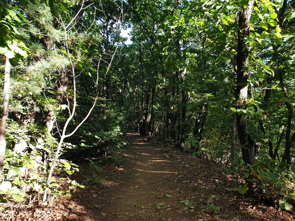 선일재에서 임꺽정봉 가는 능선길