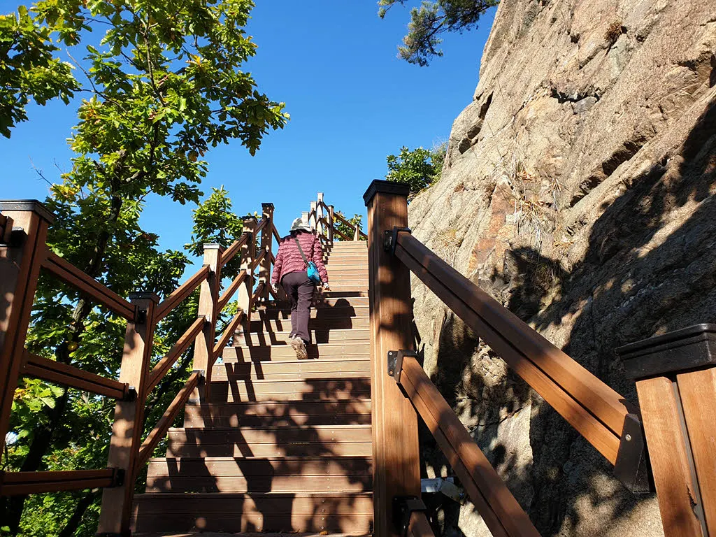 숨이 차지만 오르고 또 오른다.