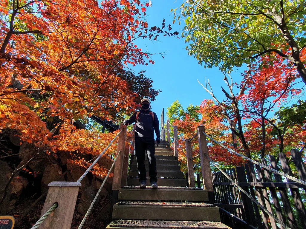 임꺽정봉 주변 단풍 (2021. 10.17)