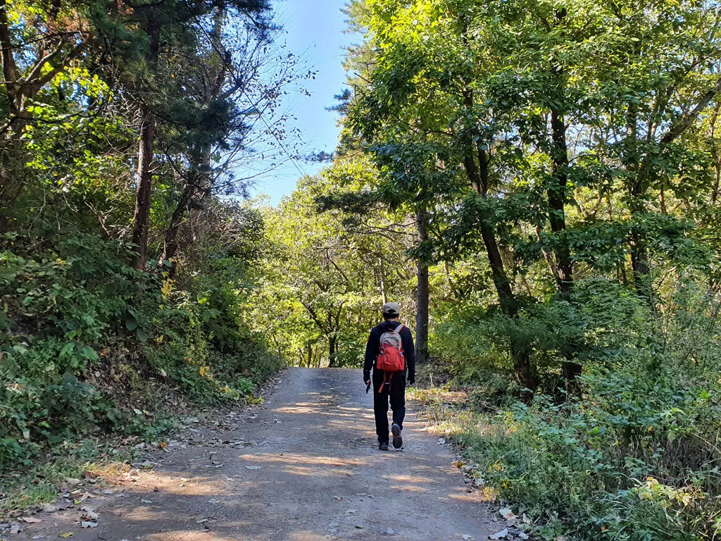 수월사 부근의 평이한 임도