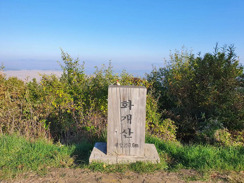 화개산 정상목 (정상석 아님..)