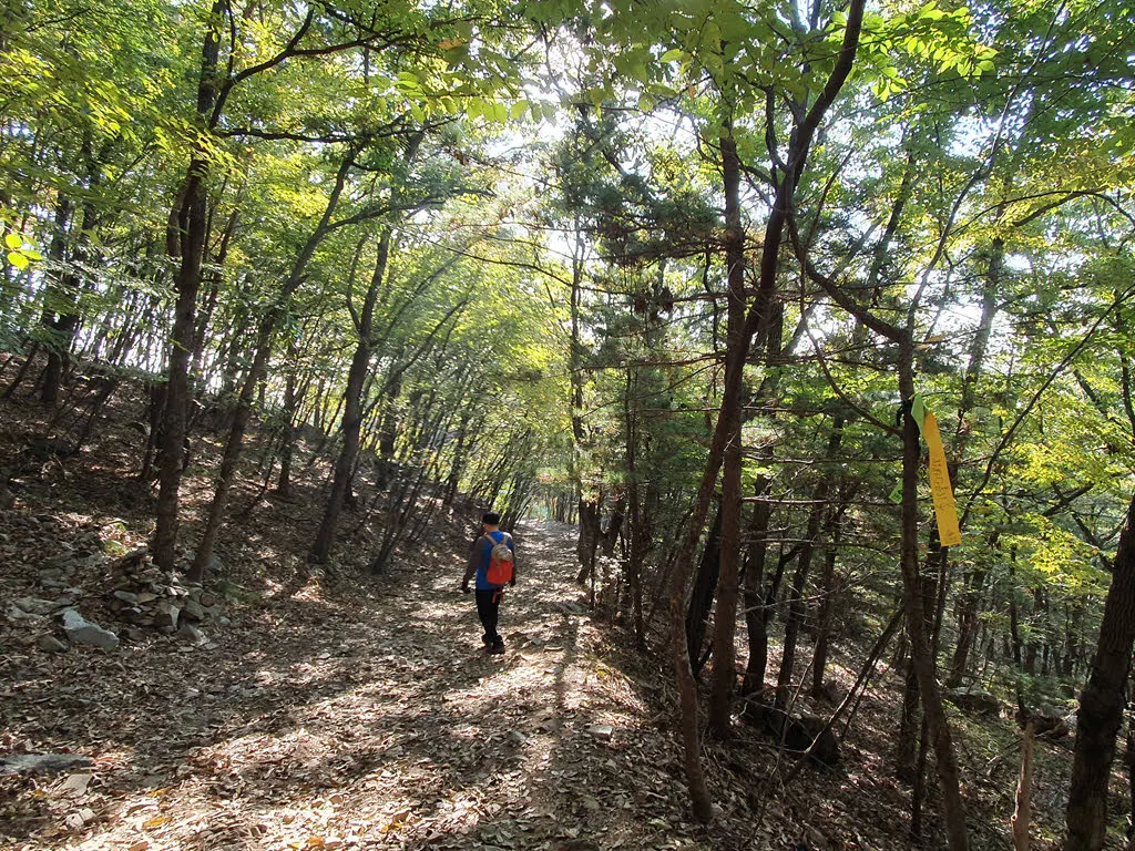 화개산 남쪽 화개사 방면 등산로