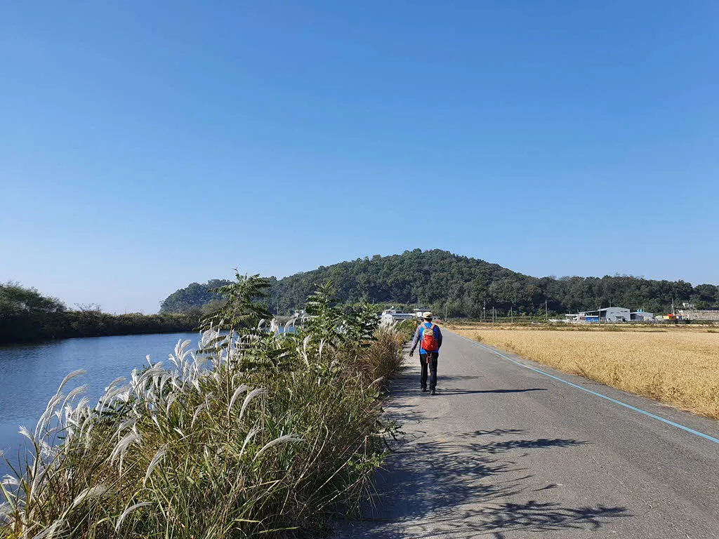 대룡시장을 향해 부지런히 걷는 나