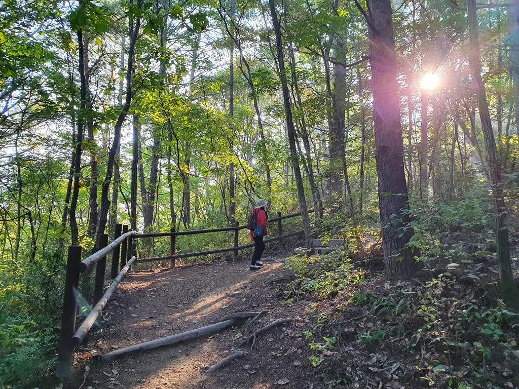 주왕산 주봉 오르는 길