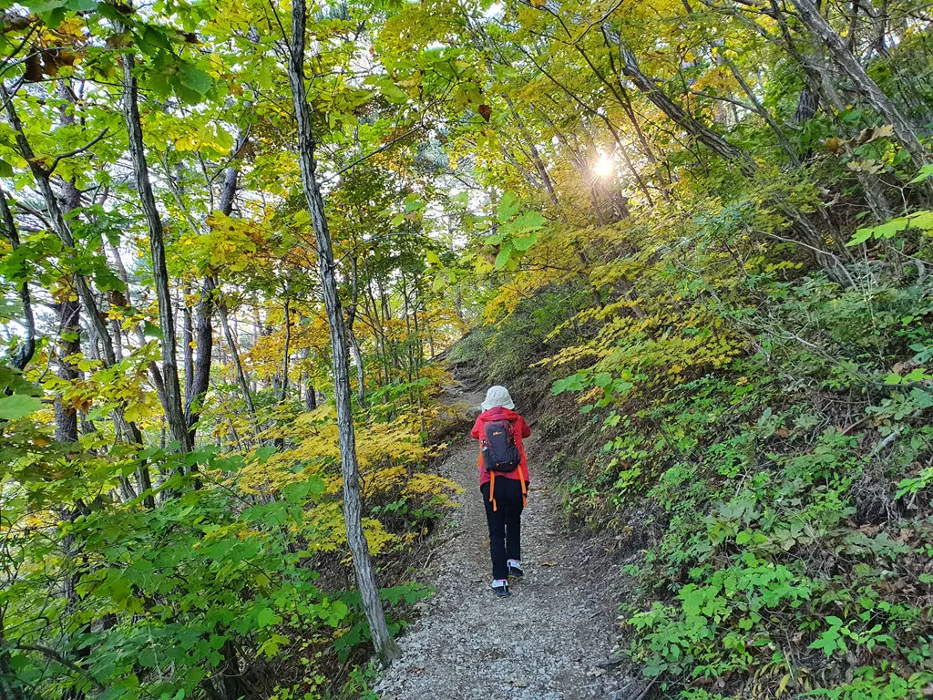 부지런히 주봉가는 능선을 향해 걷는다
